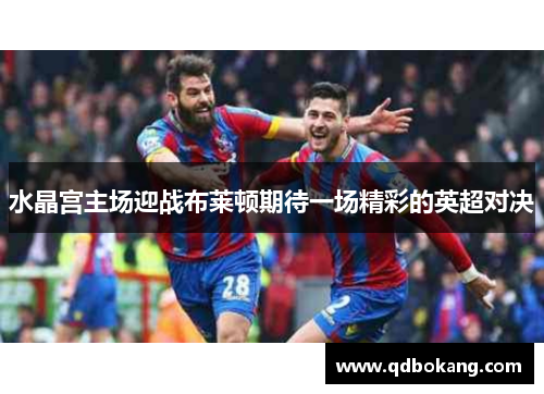 水晶宫主场迎战布莱顿期待一场精彩的英超对决